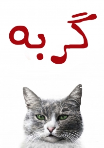 Kedi